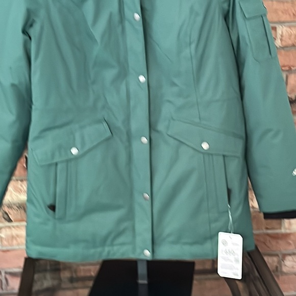 NWT size large Eddie Bauer Superior 3.0 Down Parka - Picture 3 of 14
